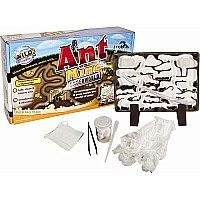 ANT MINE