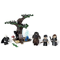 the Forbidden Forest