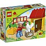 Chicken Coop
