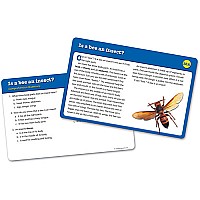Reading Comprehension Card Sets - gr 2