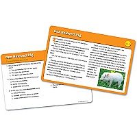 Reading Comprehension Card Sets - gr 5