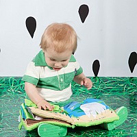 Find the Frog Soft Book