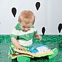 Find the Frog Soft Book