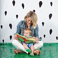 Find the Frog Soft Book