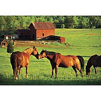 200 pc Kissing Horses Cardboard Jigsaw