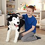 Husky  Plush