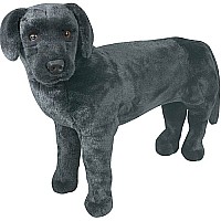 Black Lab
