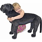 Black Lab  Plush
