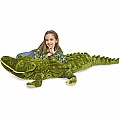 Alligator
