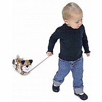 Playful Puppy Pull Toy