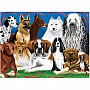 0200 pc Fetching Friends Cardboard Jigsaw