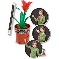 Magic Flowering Pot