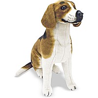 Beagle