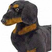 Dachshund  Plush