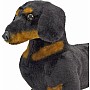 Dachshund  Plush