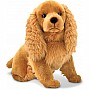 Cocker Spaniel  Plush