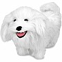 Maltese  Plush