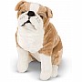 English Bulldog  Plush
