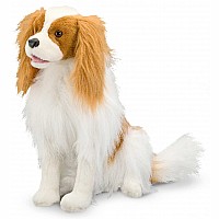Cavalier King Charles Spaniel  Plush