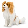 Cavalier King Charles Spaniel  Plush