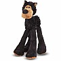 Lanky Legs Black Bear