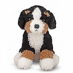 Barkley Bernese