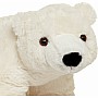 Glacier Polar Bear