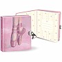 Ballet Dreams Diary