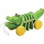 DANCING ALLIGATOR