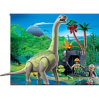Brachiosaurus in Rocky Territory