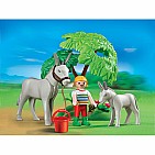 Donkey with Foal