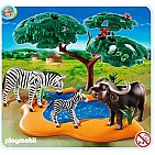 Buffalo with Zebras