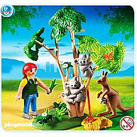 Koala Bears With Kangaroo