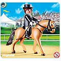 German Sport Horse With Dressage Rider and Stable