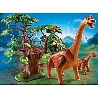 Brachiosaurus With Baby