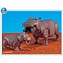 Hippo with Calf