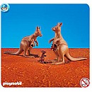 2 Kangaroos with 2 Joeys