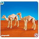2 Camels