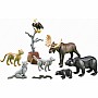 North American Forest Animals