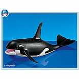 Orca Whale