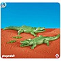 2 Large Alligators with 2 Small Alligators