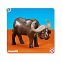 Cape Buffalo