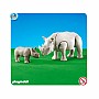 Rhino With Calf
