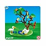 Exotic Birds With Tree