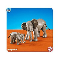 1 Large and 1 Small Elephant