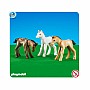3 Foals