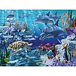 Sea Life
