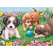 Little Doggies