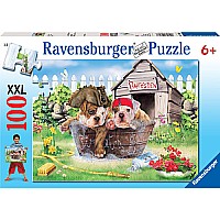 100 Piece Pirate Pups