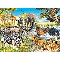 African Afternoon